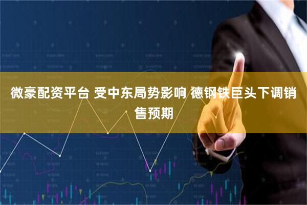 微豪配资平台 受中东局势影响 德钢铁巨头下调销售预期